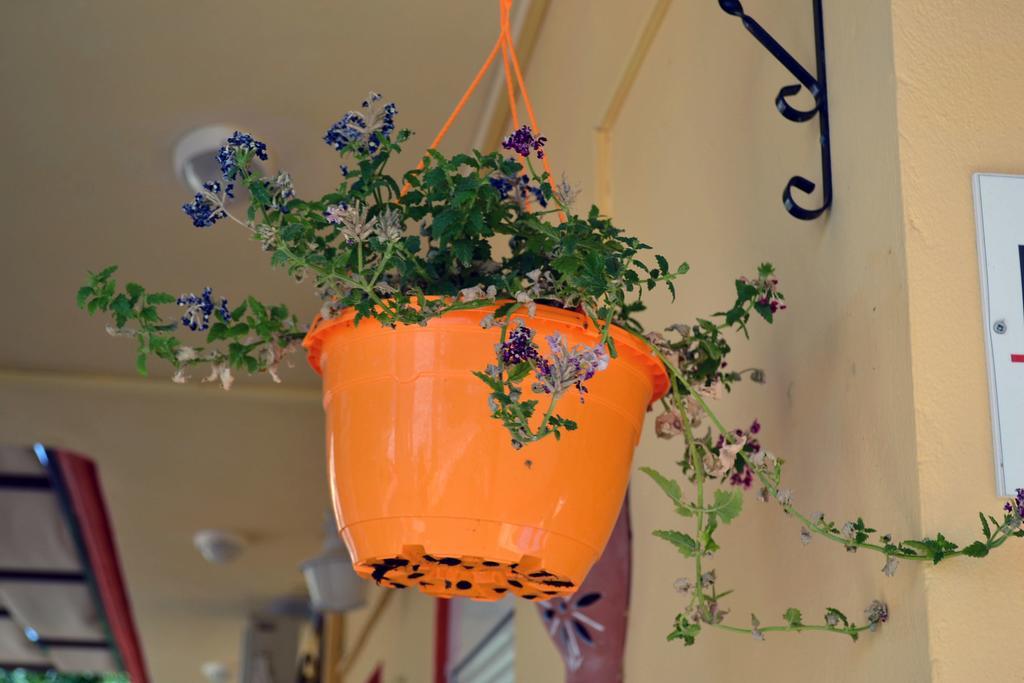 Gradma Katina Apartment Platanias  Bagian luar foto