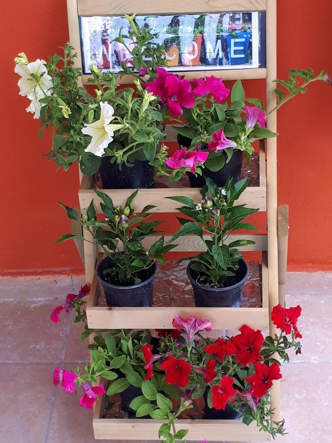 Gradma Katina Apartment Platanias  Bagian luar foto